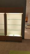 2'x4'x8' Wood Display Cabinet with (3) Glass Shelves and Top and bottom Lighting Rigging Cost: $35