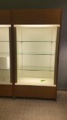 2'x4'x8' Wood Display Cabinet with (3) Glass Shelves and Top and bottom Lighting Rigging Cost: $35