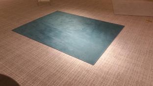 Solid Color 6'x8' Carpets (1) Grey (1) Royal Blue and (1) Green (1) Green 8x12 Rigging Cost: $35