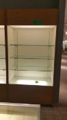 2'x4'x8' Wood Display Cabinet with (3) Glass Shelves and Top and bottom Lighting Rigging Cost: $35