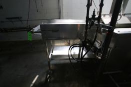 S/S Infeed Conveyor, 24