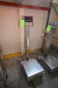 S/S Digital Platform Scale, Mounted on S/S Portable Frame, 18