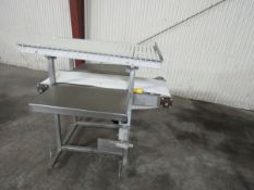 Stainless Steel Conveyor - 2-Tier Motorized Poly Belt/Roll Conveyor, 36 in. Length, SS Frame/Base (