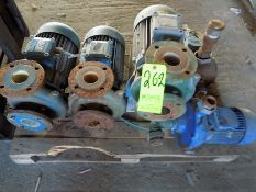 (5) Assorted Pumps - (2) DAB and (3) ID Tag Not Available) EUR 50.00 Euro Rigging & Loading Fee.