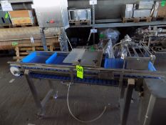 2012 Ten Brink Aprox. 190 cm L x 34 cm W Wide Gape Plastic Conveyor Belt with Actuator For Removal