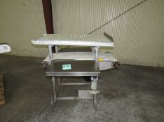 Stainless Steel Conveyor - 2-Tier Motorized Poly Belt/Roll Conveyor, 36 in. Length, SS Frame/Base