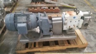 WrightFlow Positive Displacement Pump Model: 0600