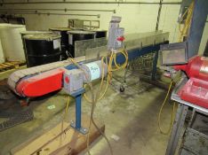 Motorized conveyor, 10 ft long, and 4.5