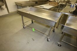 S/S Portable Drain Table - Top Dimensions Aprox. 60
