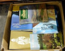 Quantity of assorted toys, table lamp, books,