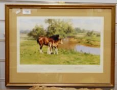 After David Shepherd Limited edition colour print 
