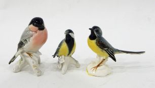 Karl Ens model of a grey wagtail,