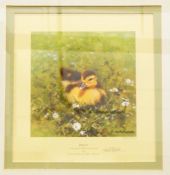 After David Shepherd Pair limited edition colour prints 