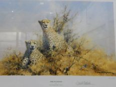 After David Shepherd Limited edition colour print 