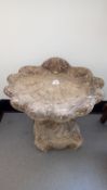 Concrete shell-shaped bird bath