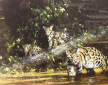 After David Shepherd Colour Print Clouded leopard and cubs signed in pencil lower right,