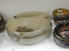 Frosted glass plafonnier ceiling light of circular form with moulded iris decoration,