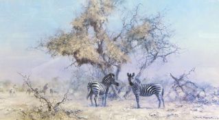 After David Shepherd Colour print 'Zebras and Colony Weavers' signed pencil lower right margin,