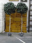 Pair of faux-bay trees in pots and two curtain poles