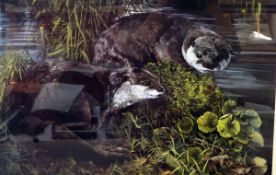 Dorothea June Buxton-Hyde (20th century) Limited edition print 