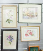 Audrey Cooper watercolour still life of roses Helen Prince watercolour still life of