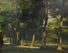 20th century school Colour print Woodland scene with path, unsigned,