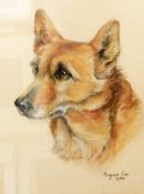 Marjorie Cox (British, 1915-2003) Pastel study Portrait study of a corgi,