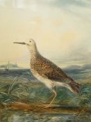 19th century school Watercolour drawing Study of a reeve, unsigned,