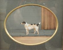 19th century school Gouache Pair of portraits of Jack Russell terriers, in oval mounts, unsigned,