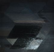 SARA TWOMEY Night Flight Oli and acrylic on canvas