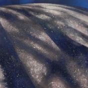 Jonathan Middlemiss (b.