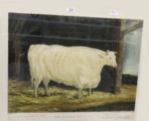 After William Ward Colour engraving 