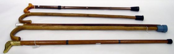 Various walking canes,