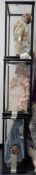 Three Franklin Heirloom dolls in cases (3)