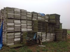 Quantity of Chitting trays with pallets that fit four trays. Location: Peterborough, Cambridgeshire