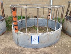 Cattle Ring Feeder - 6. Location: Acle, Norfolk.