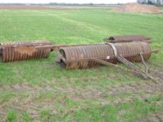 Gang of Cambridge rolls