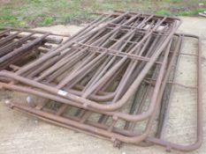 Quantity of tubular steel gates