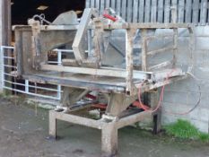 J Thistlethwaite rollover cattle crush