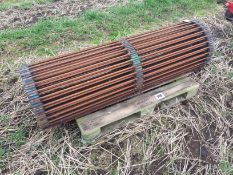 Main web 50mm for Grimme GT170 harvester, new