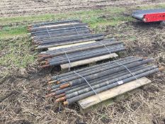 Grimme GT170 P rollers