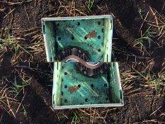 Grimme GT170 hydraulic web drive gearbox, new