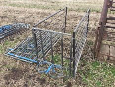 Qty calf pens
