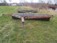 Cambridge Roll Dog and One Pup