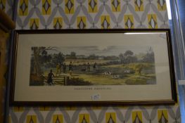 Framed Coloured Print 