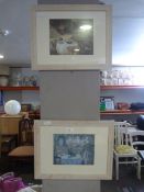 Pair of Framed Prints 