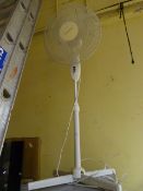 Carlton Pedestal Fan