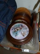 Large Collection of Framed Decorative Wall Plates