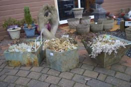 *Three Slate Planters with Alpines