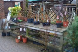 *Display Bench with Decking Top